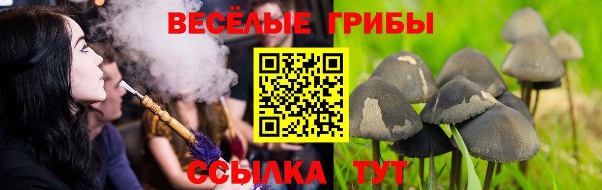 Воскресенск  Псилоцибиновые грибы прущие грибы  Вход с VPN 